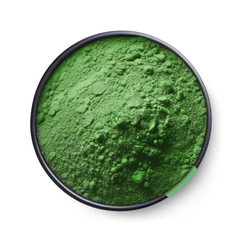GONUTZ Chlorella w proszku